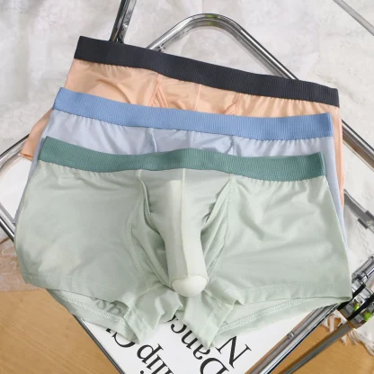 Elephant Nose Hole Boxer Brief - Image 3