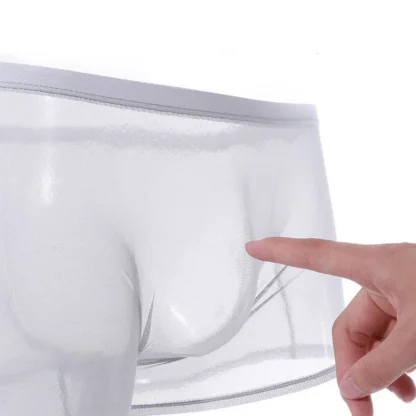 Transparent Sexy Boxer Brief - Image 4
