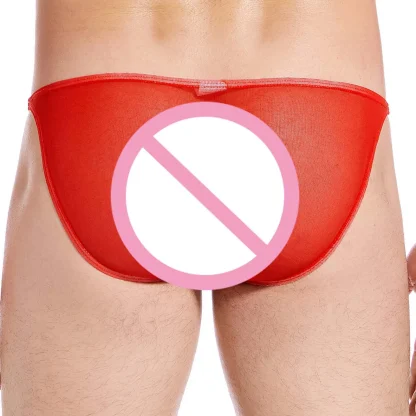 Ultra-thin Mesh Low-rise Brief - Image 3