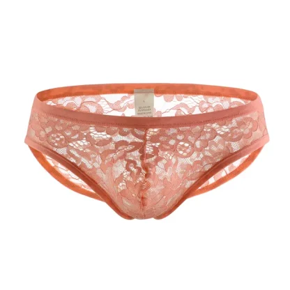 Low-rise See-through Lace Brief - Image 11