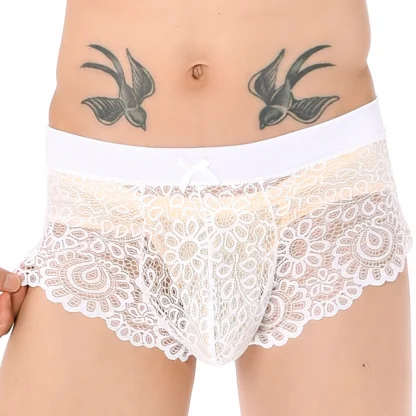 See-through Lace Boxer Brief - Image 5