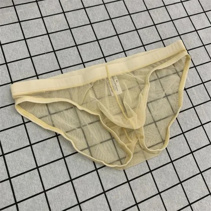Ultra Thin Transparent Brief