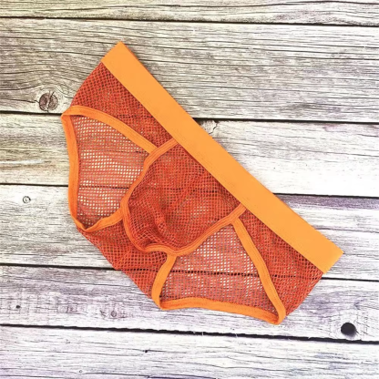 Full Transaprent Fishnet Brief - Image 4