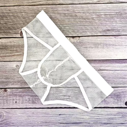 Full Transaprent Fishnet Brief - Image 5
