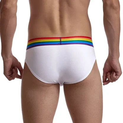 Multicolored Men's Comfy Briefs - Image 4
