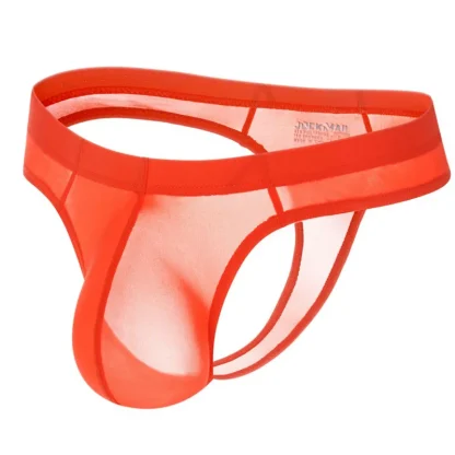 Transparent Solid Color Thong - Image 6